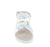 Coqueta 111614 -  Perla -