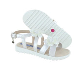 Coqueta 111614 -  Perla -