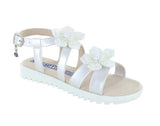 Coqueta 111614 -  Perla -