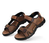 Capa de Ozono 687901 Café  -
