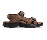Capa de Ozono 687901 Café  -