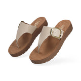 Capa de Ozono 688301 Café  -