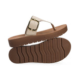 Capa de Ozono 688301 Café  -
