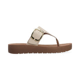 Capa de Ozono 688301 Café  -