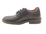 Audaz & Coqueta 433608 Negro - Piel Precios Desde