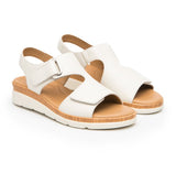 Flexi 124210  Hueso - Piel