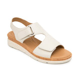 Flexi 124210  Hueso - Piel