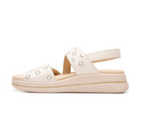 Flexi 139803 Hueso - Piel