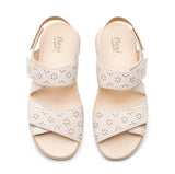 Flexi 139803 Hueso - Piel