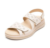 Flexi 139803 Hueso - Piel