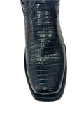 Nokota Horse Thomas Negro - Lizard