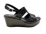 Zax iN1109 Negro - Grabado Reptil