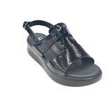 Zax iN5137 Negro - Charol